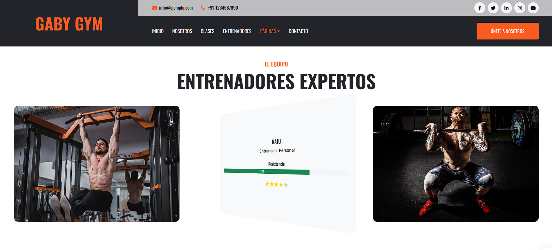 Sistema para gimnasio
