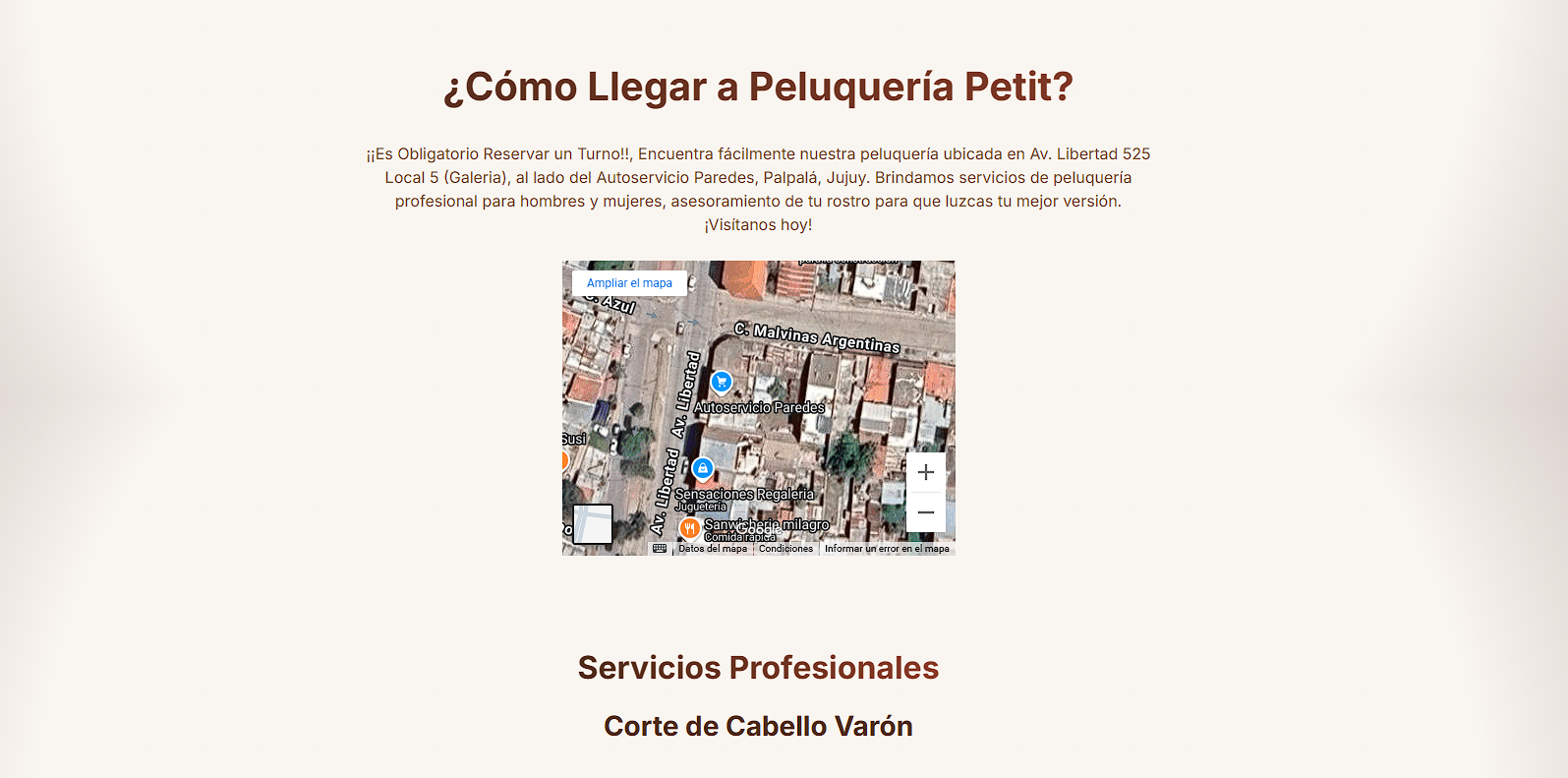 Sitio Web Peluquería Petit